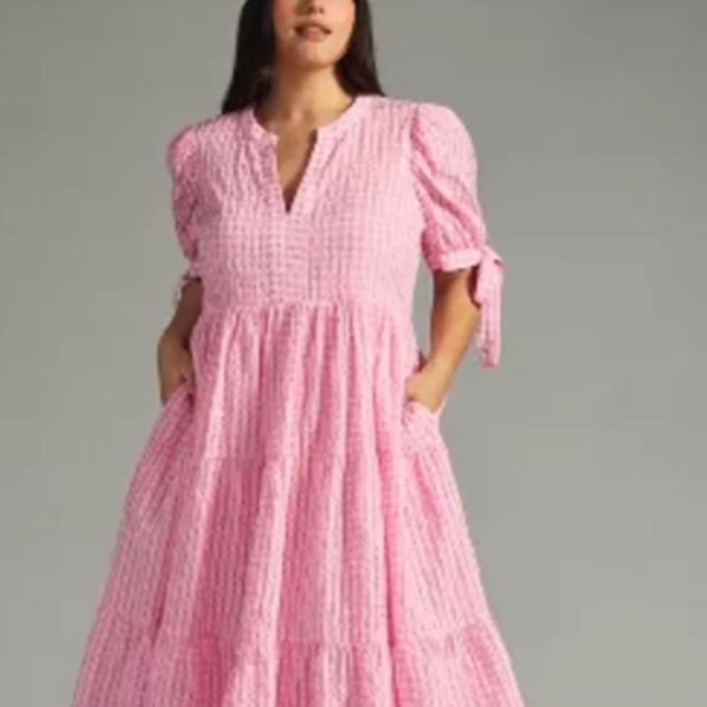 English Factory Plus Size 1 X Short-Sleeve Pink and White Gingham Dress